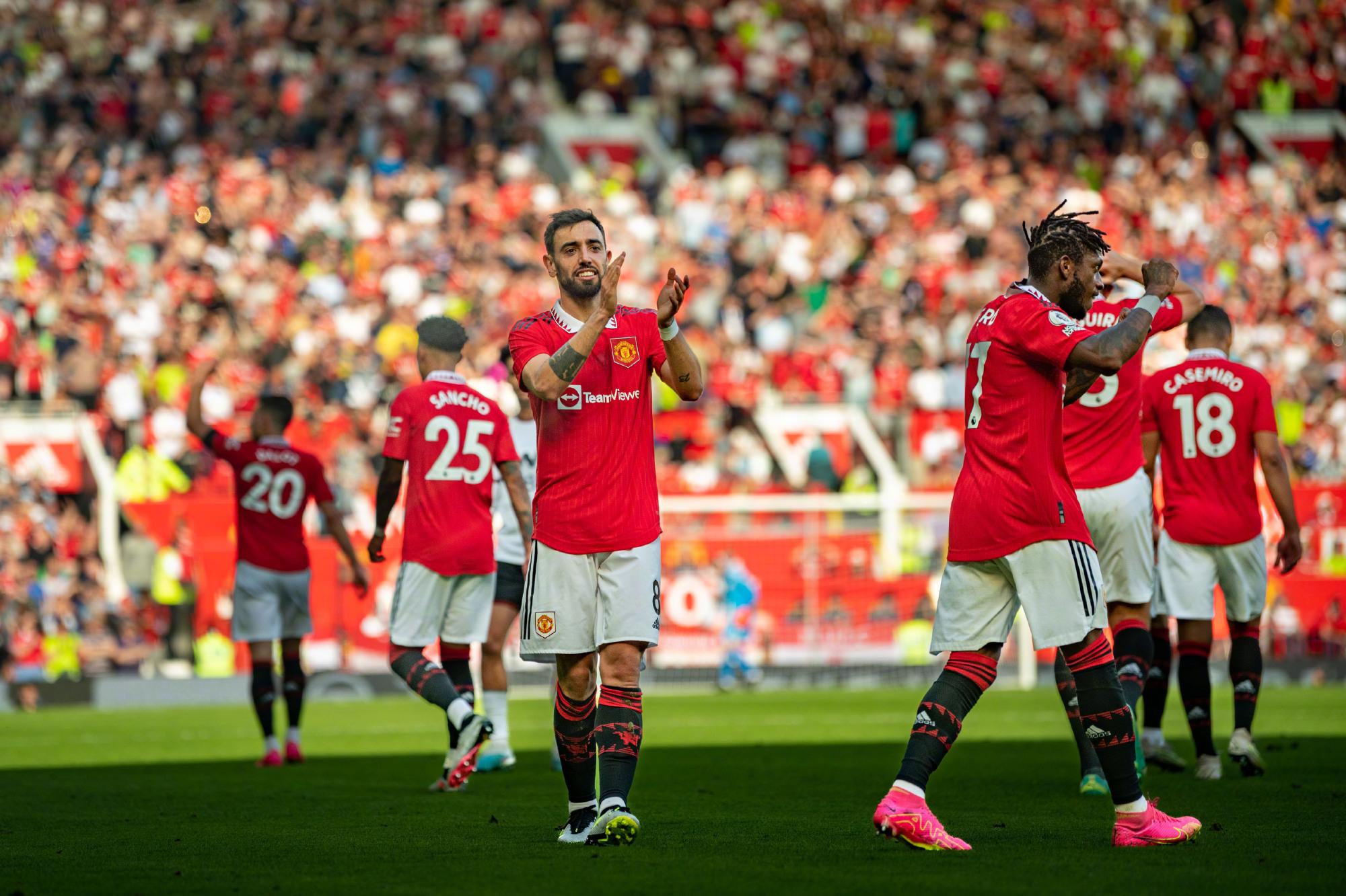 雄鹿整体在 雄鹿整体在